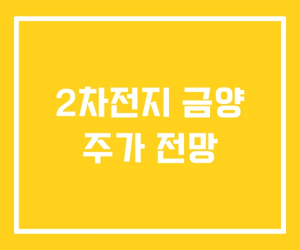 2차전지 금양 주가 전망