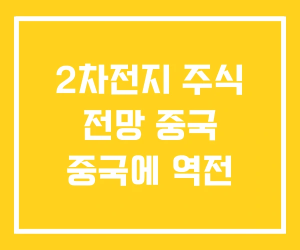 2차전지 주식 전망 중국 중국에 역전