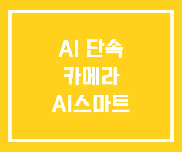 AI 단속 카메라 AI스마트 AI 단속 카메라 AI스마트