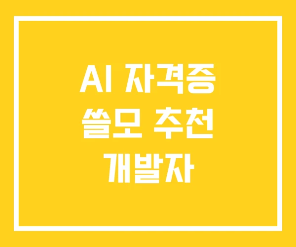 AI 자격증 쓸모 추천 개발자 AI 자격증 쓸모 추천 개발자