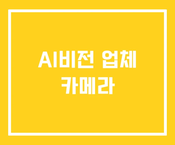 AI비전 업체 카메라