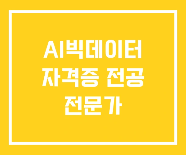 AI빅데이터 자격증 전공 전문가