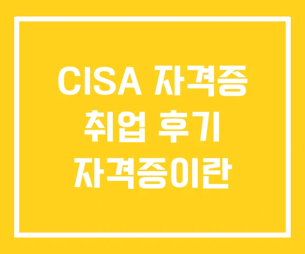 CISA 자격증 취업 후기 자격증이란