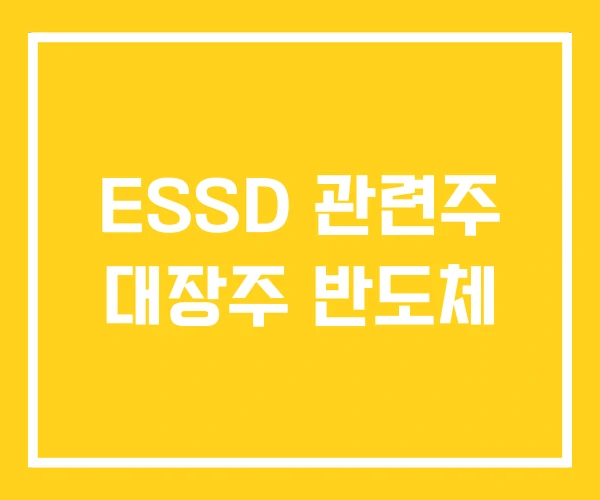 ESSD 관련주 대장주 반도체