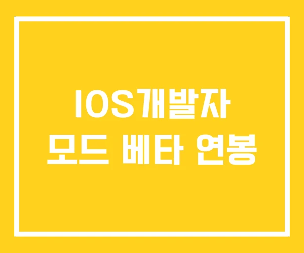 IOS개발자 모드 베타 연봉