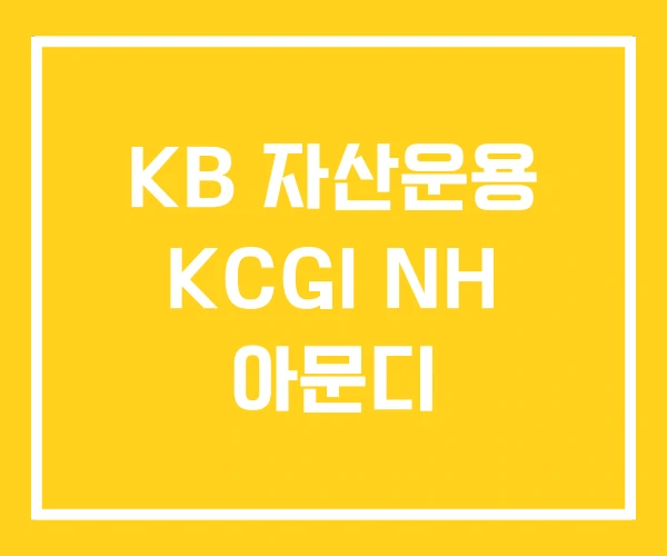 KB 자산운용 KCGI NH 아문디 KB 자산운용 KCGI NH 아문디