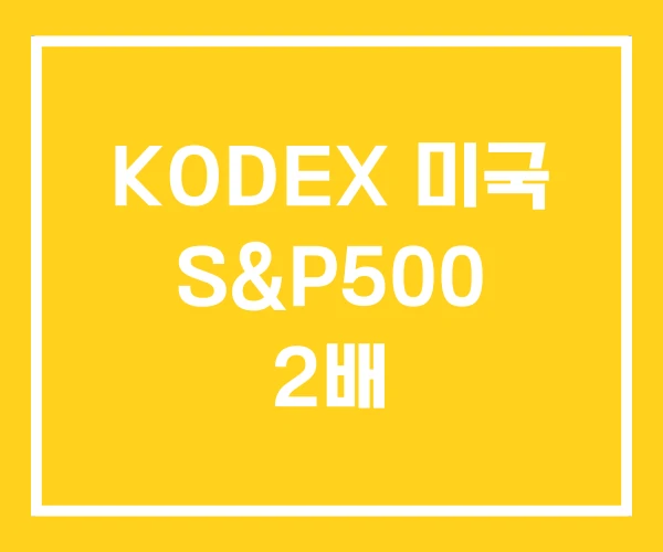 KODEX 미국 S&P500 2배