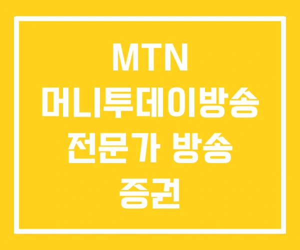 MTN 머니투데이방송 전문가 방송 증권 MTN 머니투데이방송 전문가 방송 증권