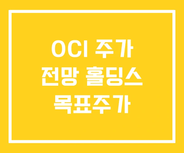 OCI 주가 전망 홀딩스 목표주가