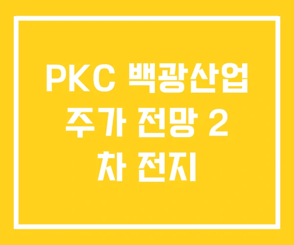 PKC 백광산업 주가 전망 2 차 전지