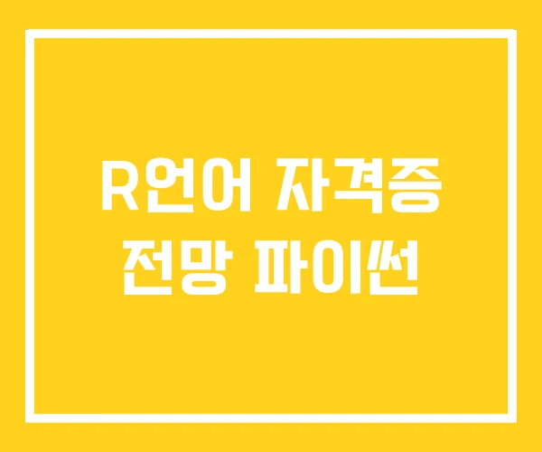 R언어 자격증 전망 파이썬
