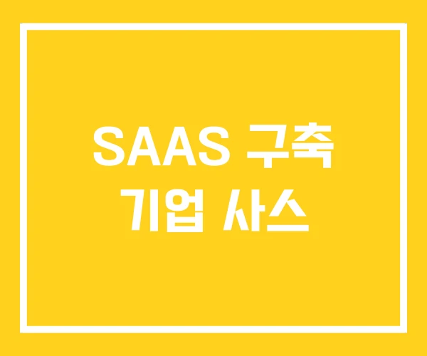 SAAS 구축 기업 사스