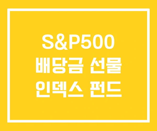 S&P500 배당금 선물 인덱스 펀드 S&P500 배당금 선물 인덱스 펀드