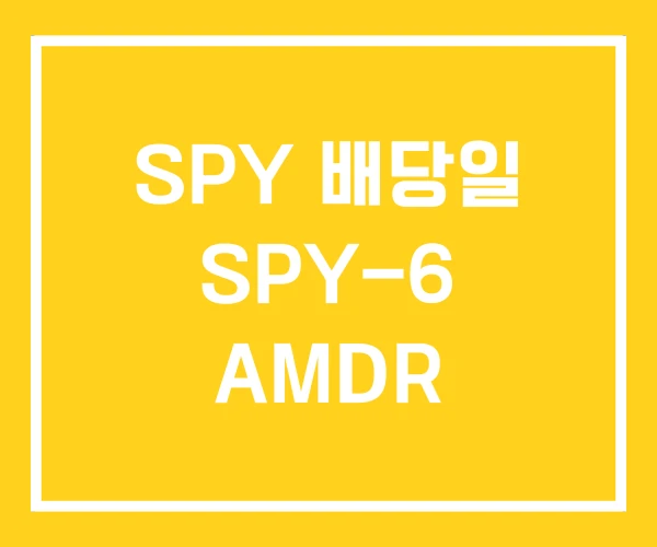 SPY 배당일 SPY-6 AMDR