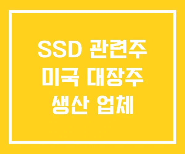 SSD 관련주 미국 대장주 생산 업체 SSD 관련주 미국 대장주 생산 업체