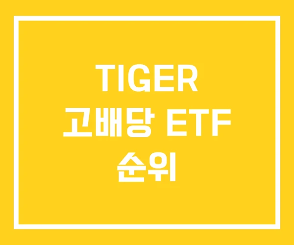 TIGER 고배당 ETF 순위