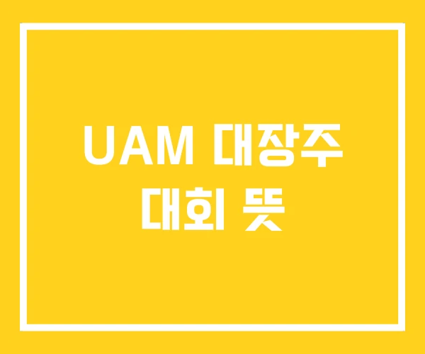 UAM 대장주 대회 뜻
