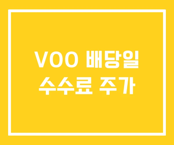 VOO 배당일 수수료 주가