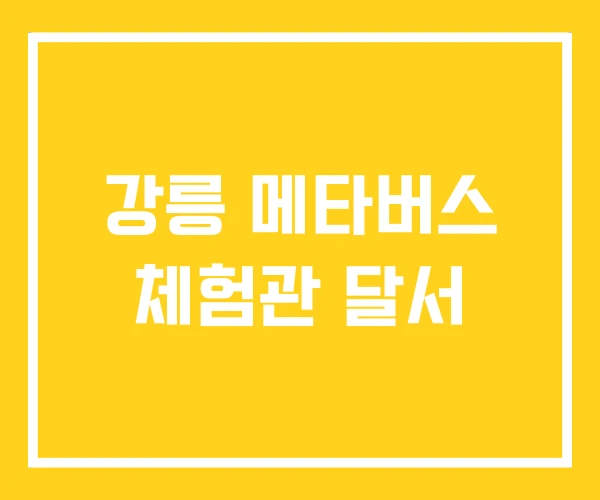 강릉 메타버스 체험관 달서