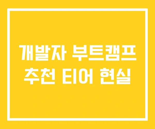 개발자 부트캠프 추천 티어 현실