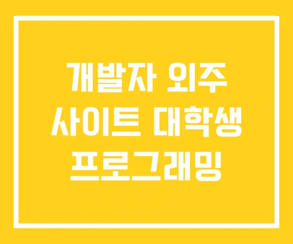개발자 외주 사이트 대학생 프로그래밍 개발자 외주 사이트 대학생 프로그래밍
