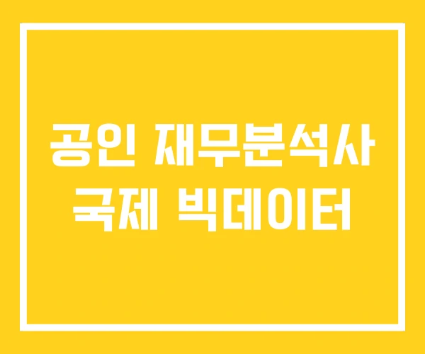 공인 재무분석사 국제 빅데이터