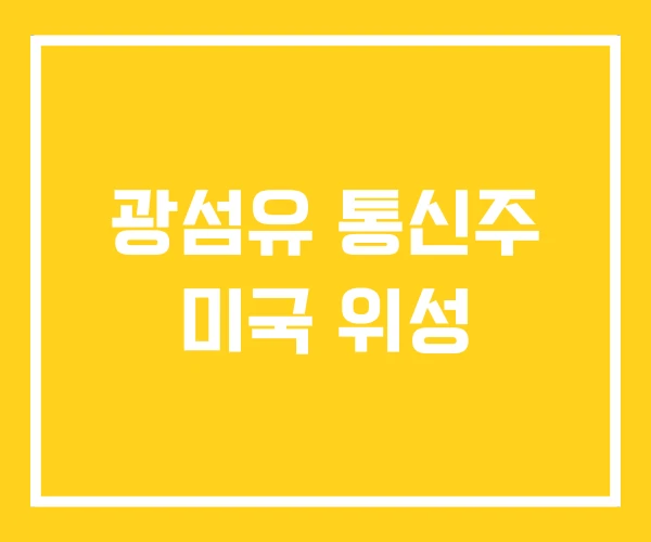 광섬유 통신주 미국 위성 광섬유 통신주 미국 위성
