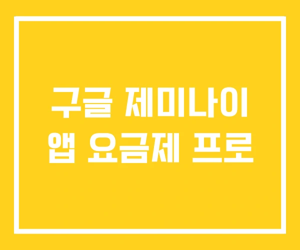 구글 제미나이 앱 요금제 프로