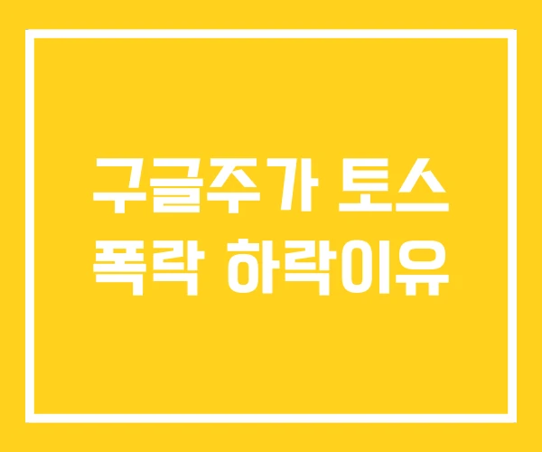 구글주가 토스 폭락 하락이유 구글주가 토스 폭락 하락이유
