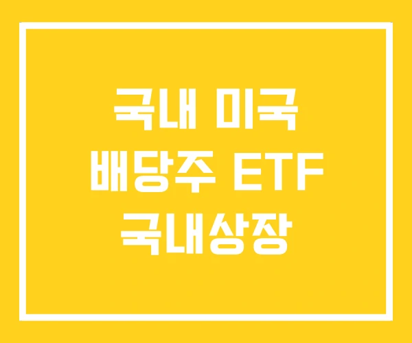국내 미국 배당주 ETF 국내상장