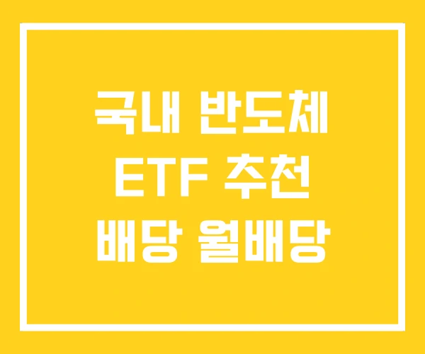 국내 반도체 ETF 추천 배당 월배당 국내 반도체 ETF 추천 배당 월배당