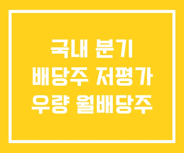 국내 분기 배당주 저평가 우량 월배당주 국내 분기 배당주 저평가 우량 월배당주