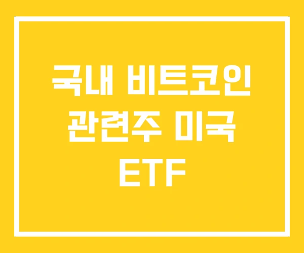 국내 비트코인 관련주 미국 ETF