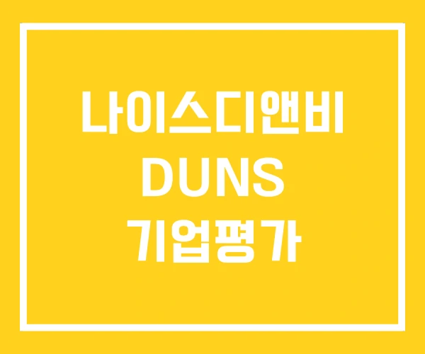 나이스디앤비 DUNS 기업평가