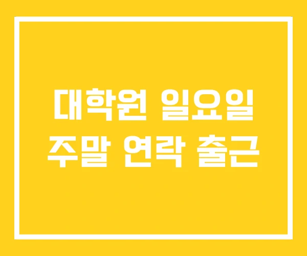 대학원 일요일 주말 연락 출근
