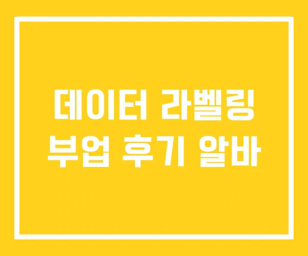 데이터 라벨링 부업 후기 알바