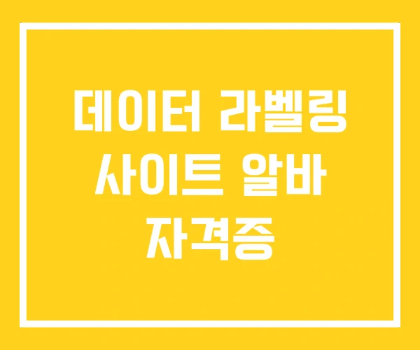 데이터 라벨링 사이트 알바 자격증