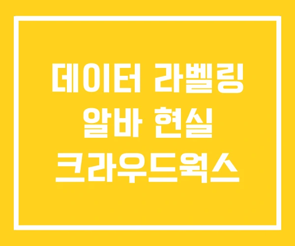 데이터 라벨링 알바 현실 크라우드웍스 데이터 라벨링 알바 현실 크라우드웍스