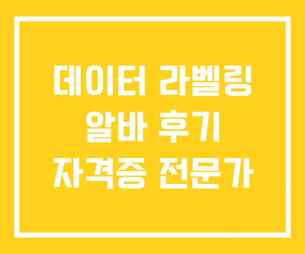 데이터 라벨링 알바 후기 자격증 전문가