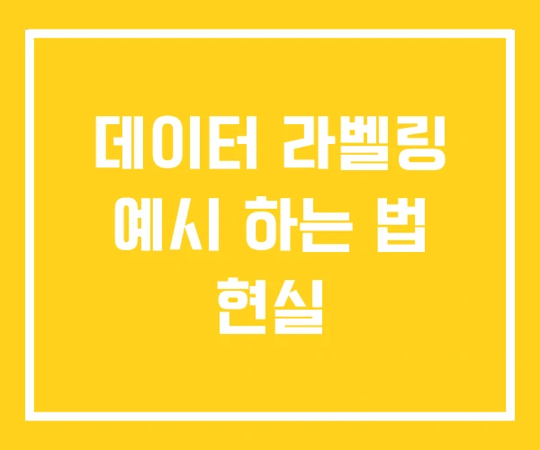 데이터 라벨링 예시 하는 법 현실