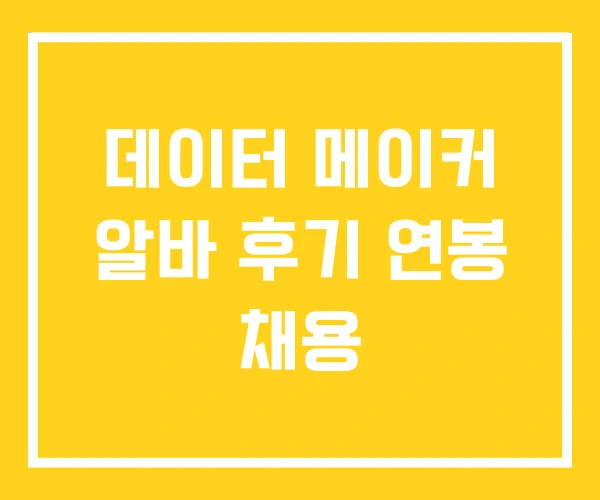 데이터 메이커 알바 후기 연봉 채용