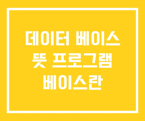 데이터 베이스 뜻 프로그램 베이스란
