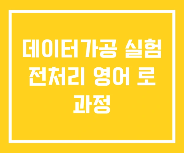 데이터가공 실험 전처리 영어 로 과정