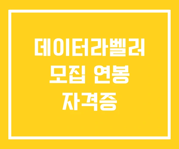 데이터라벨러 모집 연봉 자격증