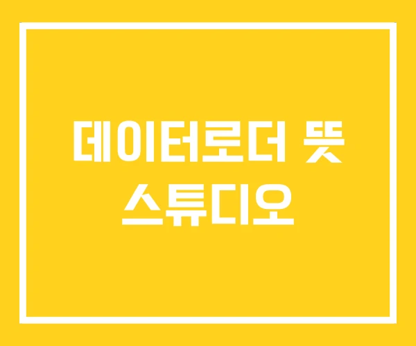 데이터로더 뜻 스튜디오 데이터로더 뜻 스튜디오