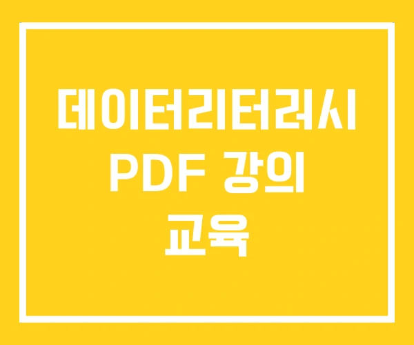데이터리터러시 PDF 강의 교육
