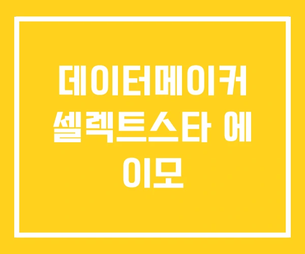 데이터메이커 셀렉트스타 에 이모