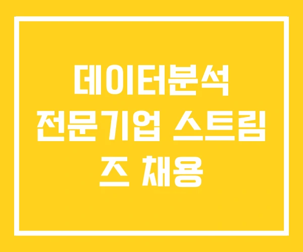 데이터분석 전문기업 스트림 즈 채용
