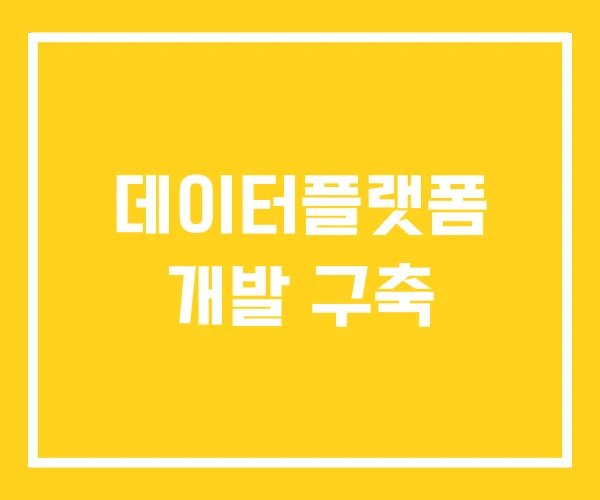 데이터플랫폼 개발 구축