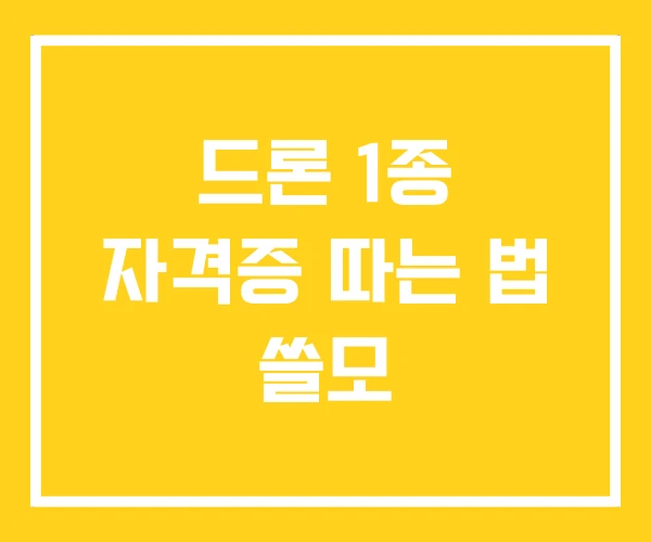 드론 1종 자격증 따는 법 쓸모